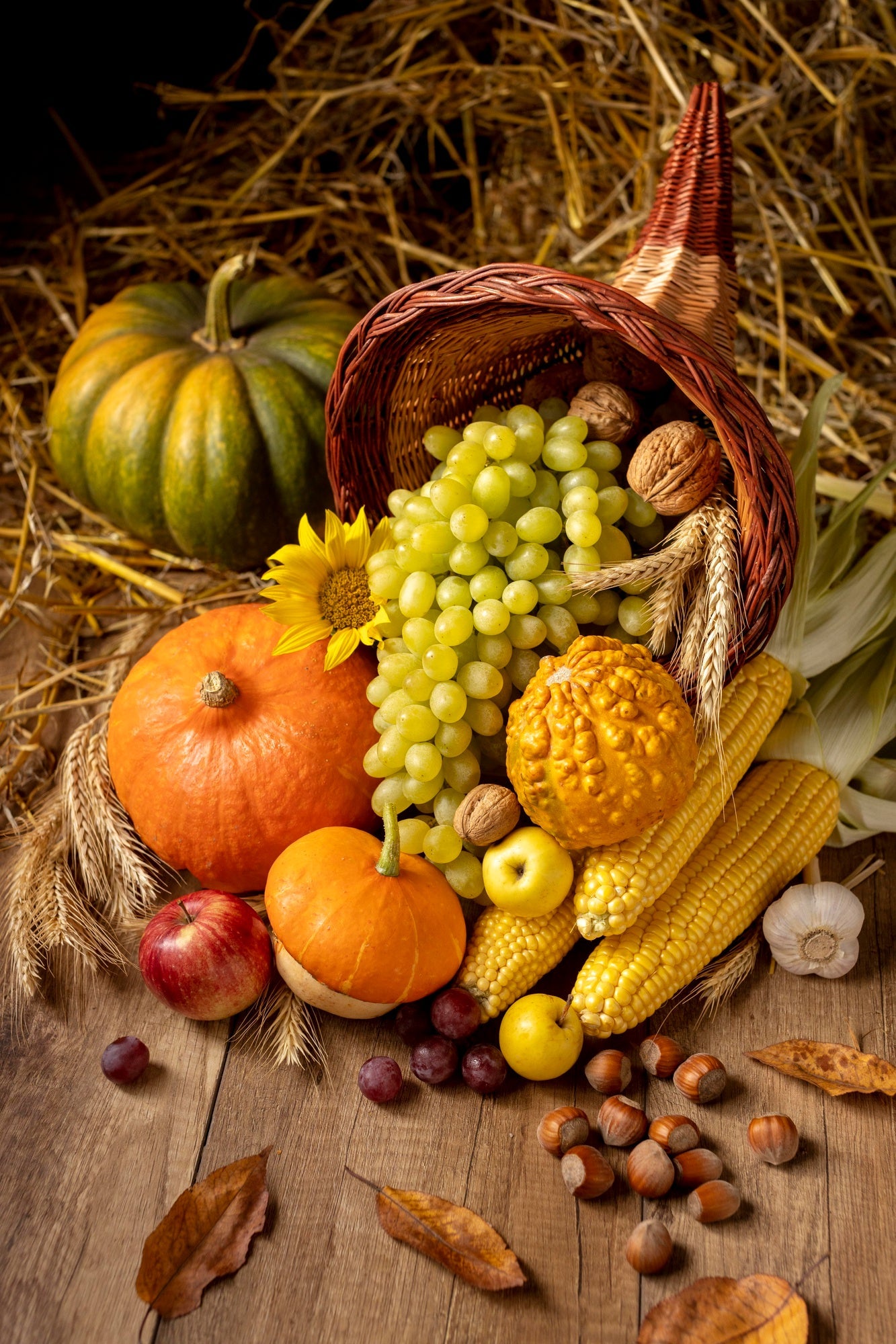 FALL & HARVEST COLLECTION